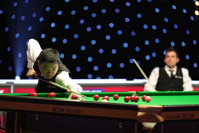 区内如鱼得 区内如鱼得